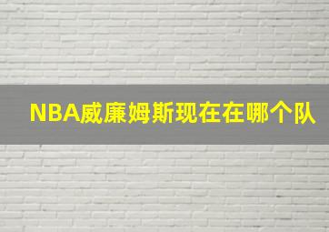 NBA威廉姆斯现在在哪个队