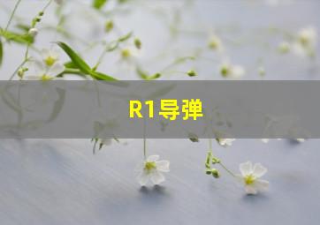 R1导弹