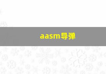 aasm导弹