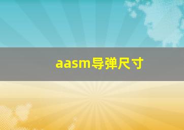 aasm导弹尺寸