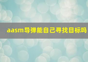 aasm导弹能自己寻找目标吗