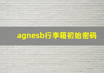 agnesb行李箱初始密码