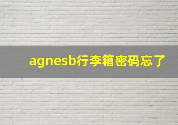 agnesb行李箱密码忘了