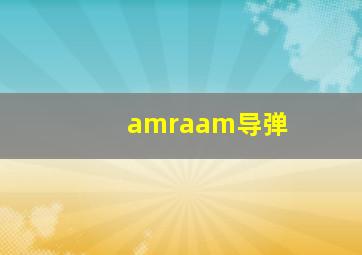 amraam导弹