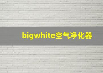 bigwhite空气净化器