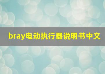 bray电动执行器说明书中文