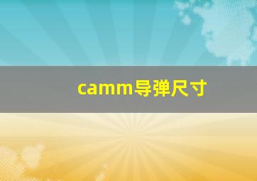 camm导弹尺寸