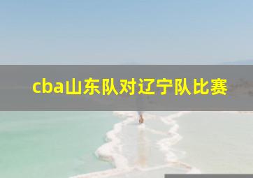 cba山东队对辽宁队比赛