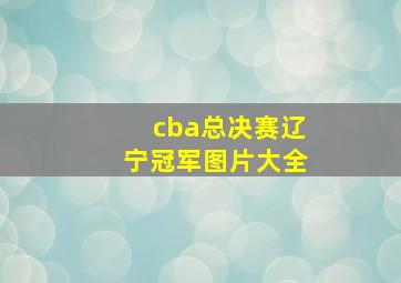 cba总决赛辽宁冠军图片大全