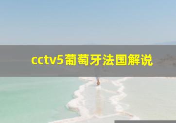 cctv5葡萄牙法国解说