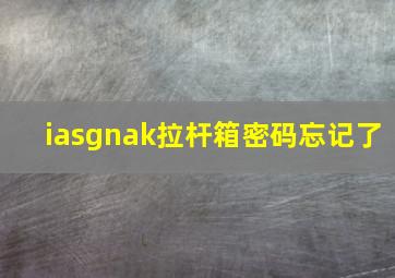 iasgnak拉杆箱密码忘记了