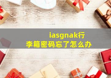 iasgnak行李箱密码忘了怎么办