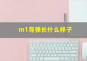 m1导弹长什么样子