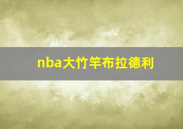 nba大竹竿布拉德利