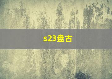 s23盘古