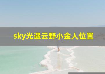 sky光遇云野小金人位置