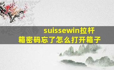 suissewin拉杆箱密码忘了怎么打开箱子