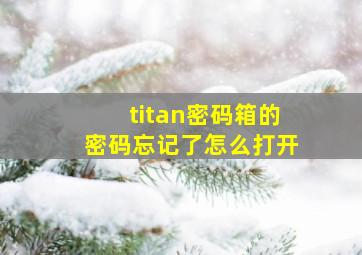 titan密码箱的密码忘记了怎么打开