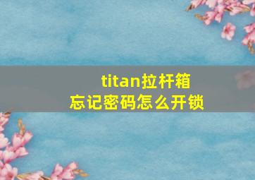 titan拉杆箱忘记密码怎么开锁