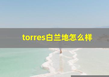 torres白兰地怎么样