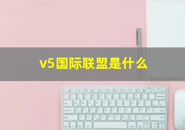 v5国际联盟是什么