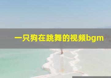 一只狗在跳舞的视频bgm