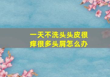 一天不洗头头皮很痒很多头屑怎么办