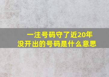 一注号码守了近20年没开出的号码是什么意思