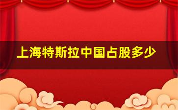 上海特斯拉中国占股多少