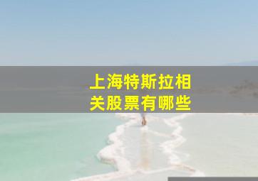 上海特斯拉相关股票有哪些