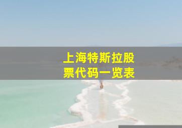 上海特斯拉股票代码一览表