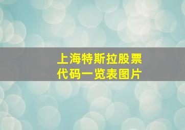 上海特斯拉股票代码一览表图片