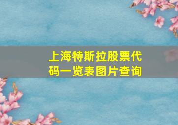 上海特斯拉股票代码一览表图片查询