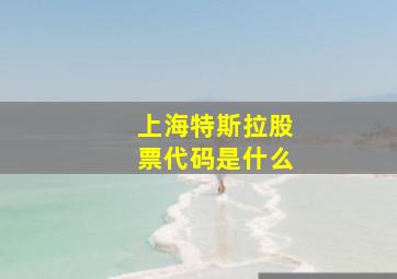 上海特斯拉股票代码是什么