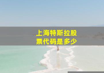 上海特斯拉股票代码是多少