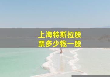 上海特斯拉股票多少钱一股