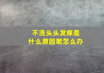 不洗头头发痒是什么原因呢怎么办