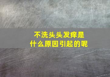 不洗头头发痒是什么原因引起的呢