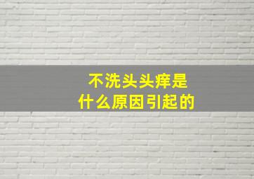 不洗头头痒是什么原因引起的