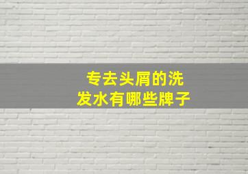 专去头屑的洗发水有哪些牌子