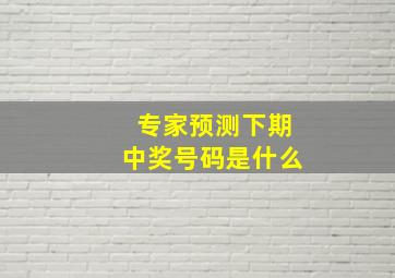 专家预测下期中奖号码是什么