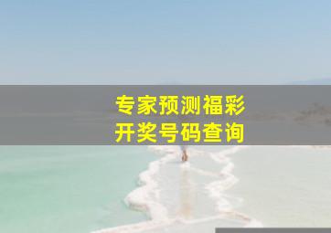 专家预测福彩开奖号码查询