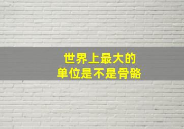 世界上最大的单位是不是骨骼