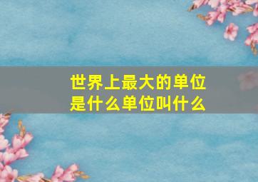 世界上最大的单位是什么单位叫什么