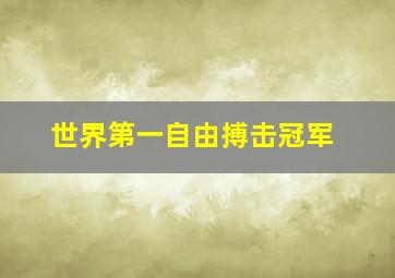 世界第一自由搏击冠军