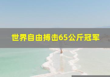 世界自由搏击65公斤冠军