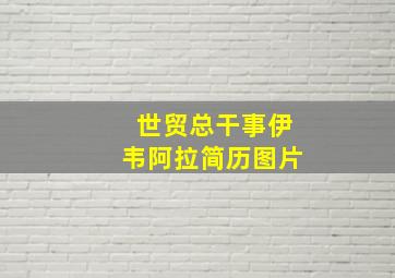 世贸总干事伊韦阿拉简历图片