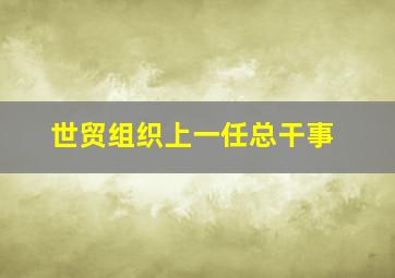 世贸组织上一任总干事