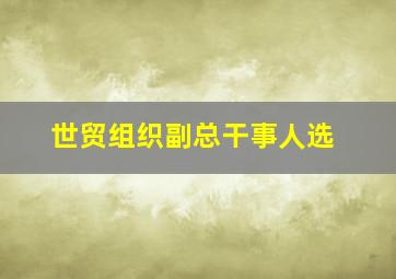 世贸组织副总干事人选