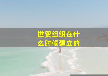 世贸组织在什么时候建立的